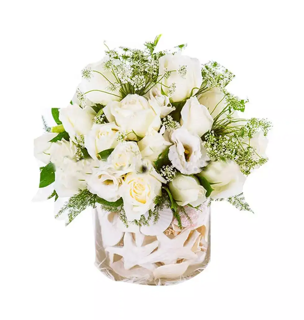 Magnificent White Roses